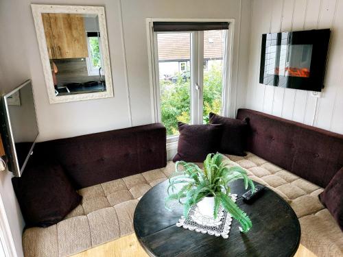 莱克内斯Microhouse Leknes in Lofoten的客厅配有桌子和沙发