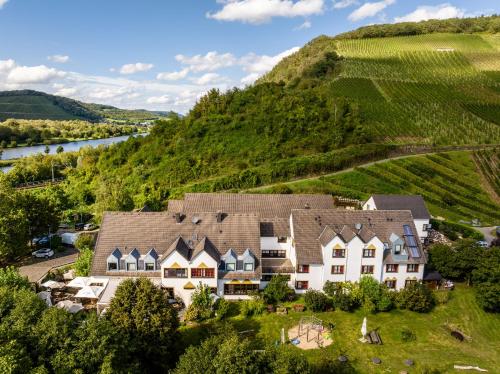 OckfenWeinhotel Restaurant Klostermühle的享有山中房屋的空中景色和河流