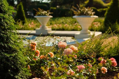 波尔托罗波尔托罗凯宾斯基宫酒店的花园里两只白色花瓶,花朵粉红色