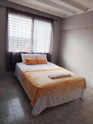 巴拿马城Fresco apto a 10 min del aeropuerto y la ciudad的一间卧室配有带两个枕头的床和窗户