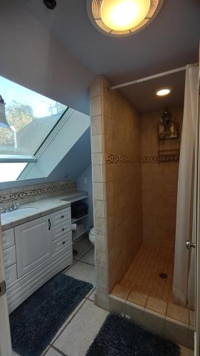 圣路易斯-奥比斯保San Luis Obispo Hostel的带淋浴、卫生间和盥洗盆的浴室