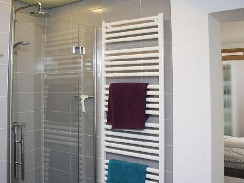 奥尔登堡Vacation in Oldenburg的浴室设有玻璃淋浴间和毛巾