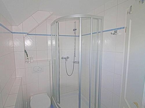 兰图姆Haus Ruusenhoog - Apartment 5的带淋浴和卫生间的浴室