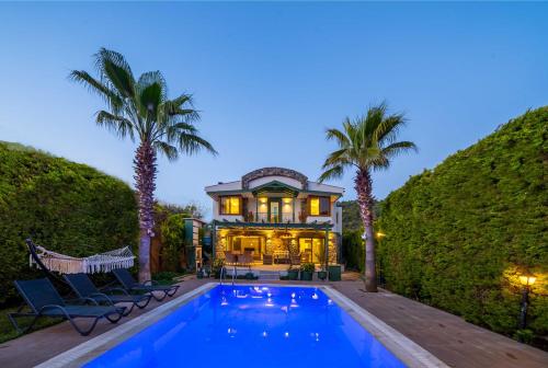 卡亚克特拉卡亚别墅的一座带游泳池和棕榈树的房子
