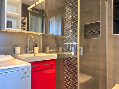 艾克斯莱班Carla's Residences F1 Hyper Centre的浴室配有水槽和带红色橱柜的淋浴。