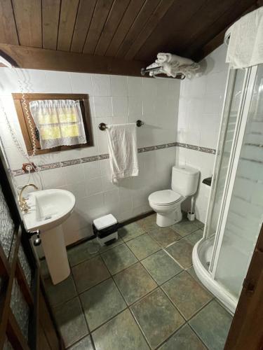 RíosecoCasa rural en Redes的浴室配有卫生间、盥洗盆和淋浴。