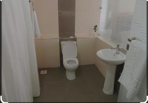 DzakeEL ELOLO Hotel的一间带卫生间和水槽的浴室