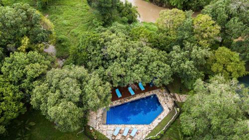 塔勒克沃拉尔玛拉凯宾斯基酒店的森林中游泳池的顶部景色