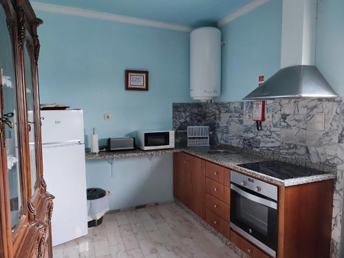 阿利若Vivenda Casa da Fraga的厨房拥有蓝色的墙壁和白色的冰箱。