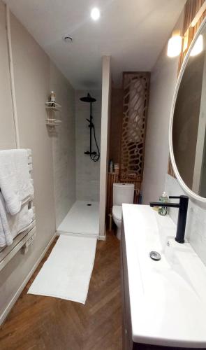 小克维伊L'Elégant的一间带水槽、卫生间和镜子的浴室