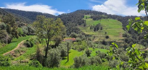 塔扎دار الضيافة تازكة Maison d'hôtes Tazekka的享有山坡上绿色田野和树木的景色
