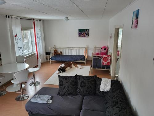 罗威萨Loviisan Limu的客厅配有沙发,地板上放着一只狗