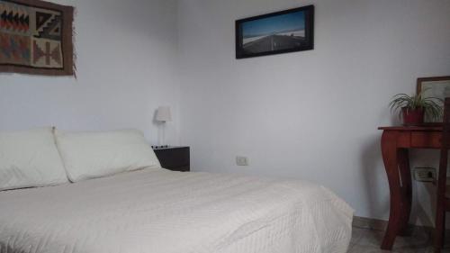 拉普拉塔Departamento tranquilo y luminoso的卧室配有一张床,墙上配有电视。