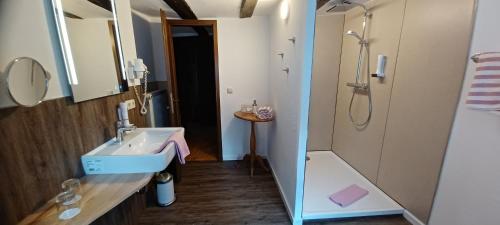 米尔滕贝格Wein-und Gasthof Zipf的一间带水槽和淋浴的浴室