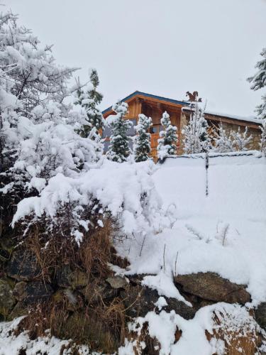 Odeillo-ViaCosy House的树前的雪覆盖的房子