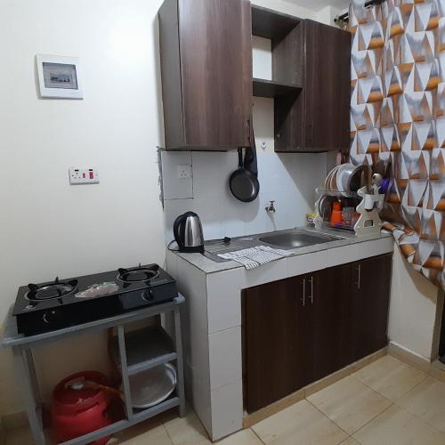 Kitengela Nectar airbnb的小厨房配有炉灶和水槽