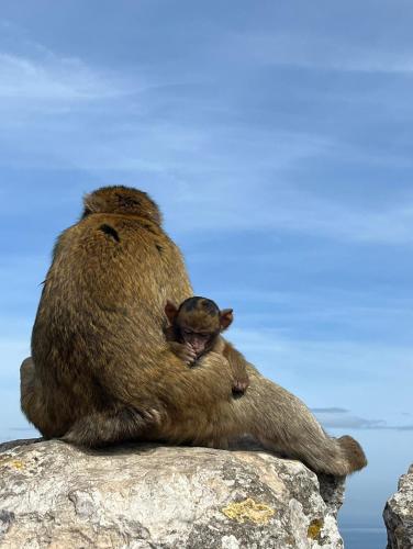 Sunny Gibraltar