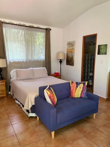 下博克特The Casita at The Boquete Hacienda的一间卧室配有一张床和一张蓝色的沙发