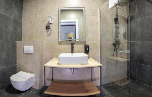 巴尼亚卢卡Hotel Sistems的一间带水槽、卫生间和镜子的浴室