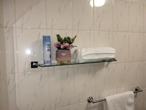 姆巴巴内Apartment on MR103的浴室设有书架,备有植物和毛巾