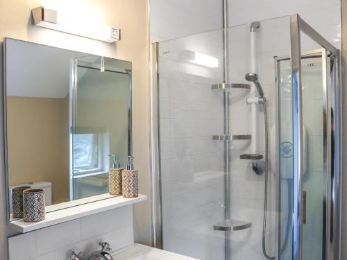 MynffordBron Madog的带淋浴的浴室和玻璃门