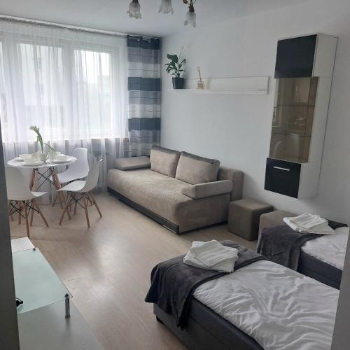 肯琴Apartament Mazurska的客厅配有床和沙发