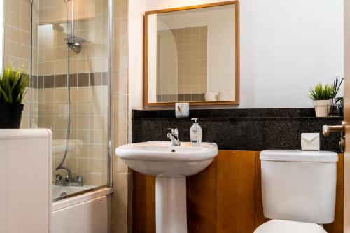 都柏林Stunning 1 bedroom appartment in Grand Cannal的一间带水槽、卫生间和镜子的浴室