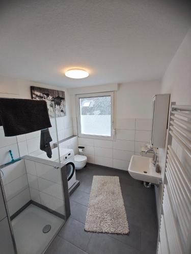 泰尔格特Ferienwohnung Freise的一间带水槽和卫生间的小浴室