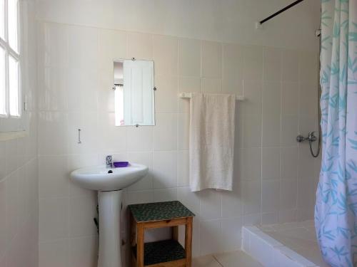 塔那那利佛Chez Jeanne Chambre d'Hôte的白色的浴室设有水槽和淋浴。