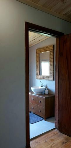 帕特森The Wild Olive Sanctuary Accommodation的一间带水槽和镜子的浴室