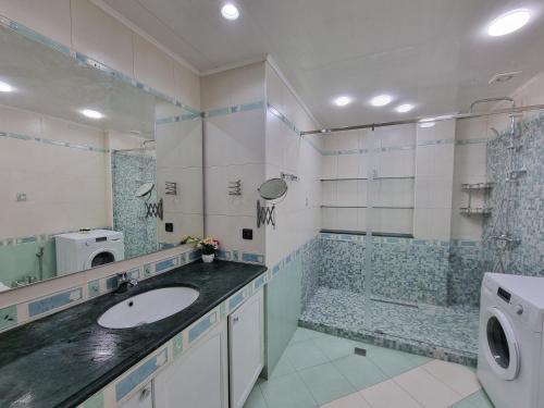 巴库Central sea view的一间带水槽和淋浴的浴室