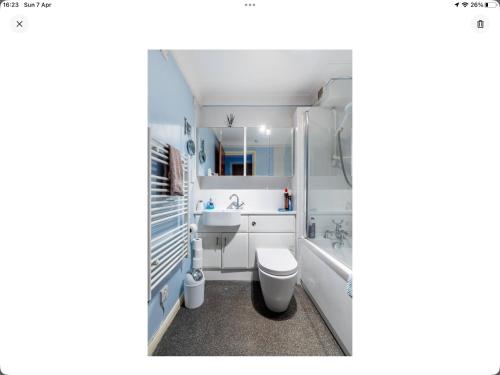 兰辛2 bedrooms apartment with free parking的浴室配有盥洗盆、卫生间和浴缸。