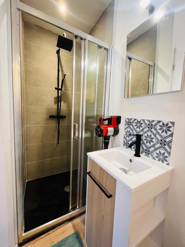 布雷斯地区布尔格L’appartement lumière的一间带水槽和淋浴的浴室