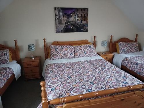 戈尔韦Cloonboo Lodge on Wild Atlantic Way Sleeps 12的卧室配有两张床,墙上挂着一幅画