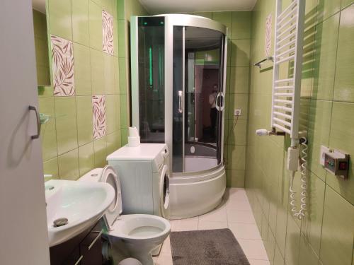 维尔纽斯Apartments near BIG的浴室配有卫生间、盥洗盆和淋浴。