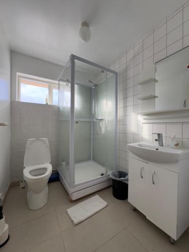 斯塔奥尔Fagrabrekka Private Room的带淋浴、卫生间和盥洗盆的浴室