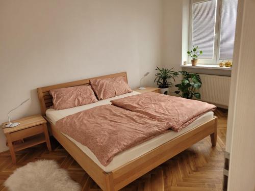 伊钦Nový apartman Eva的卧室配有一张床