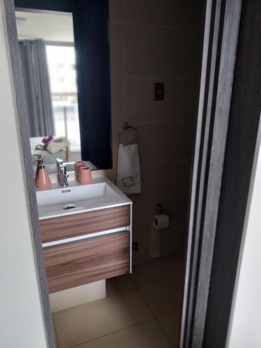 伊基克Azul 1的一间带水槽和镜子的浴室