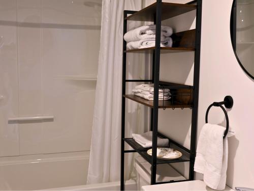 里穆斯基Logîtel Rimouski的淋浴旁浴室内的黑色毛巾架