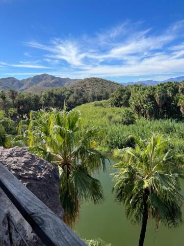 穆莱赫Casa Luna的享有棕榈树和山脉的河流美景