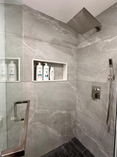 米西索加Riverwood Home的浴室设有2瓶肥皂和淋浴。
