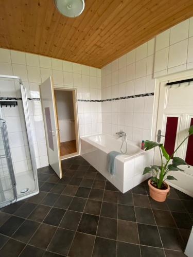 瓦尔斯罗德Ferienwohnung Eddelhoff的带浴缸、淋浴和植物的浴室