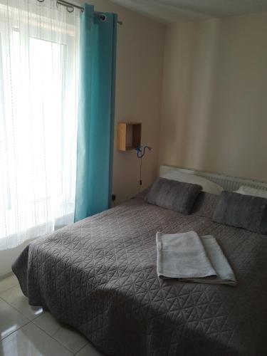 桑多梅日Motel Królowej Jadwigi Alicja Szymańska-Pokoje na Ogrodowej的一间卧室配有一张带毯子的床和窗户