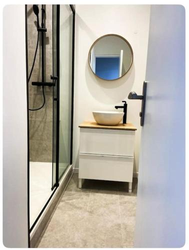 昂热L'écrin的一间带水槽和镜子的浴室