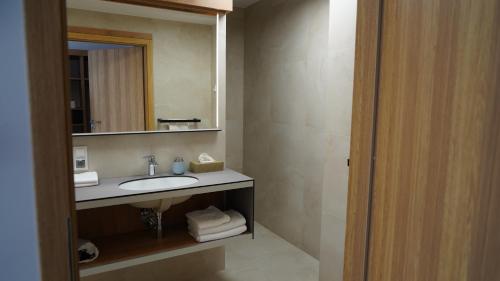 吉日茨科Aparthotel Passage的一间带水槽和镜子的浴室
