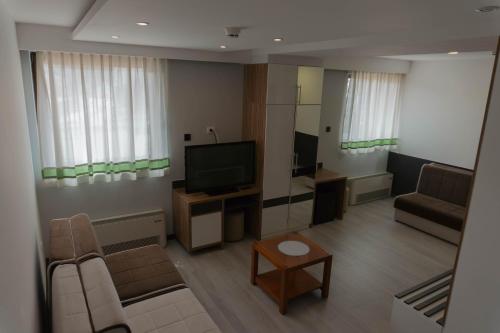 萨拉热窝波斯纳1号酒店的带沙发和电视的客厅