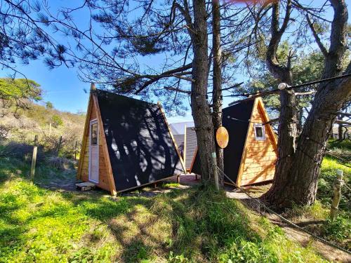 奥弗芬Surfana Beach Bed & Breakfast Bloemendaal的几顶帐篷坐在树旁