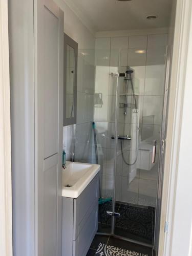 赞德沃特Zomerhuis aan Zee的带淋浴和盥洗盆的白色浴室