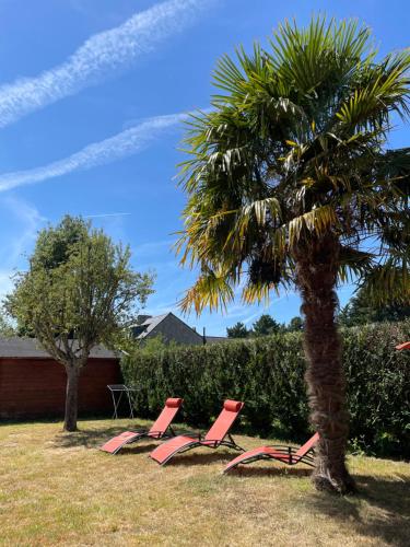 普鲁索昂斯Charmante maison en bord de Rance的一组草坪椅和一棵棕榈树