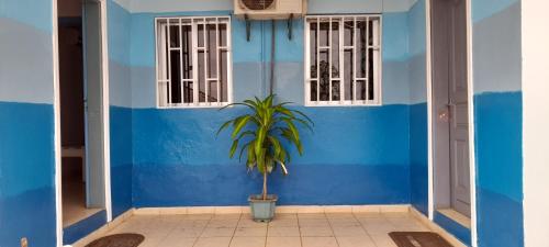 弗朗斯维尔CHEZLIBAMA的前面有植物的蓝色房子
